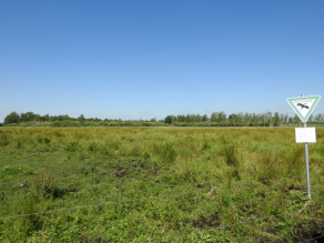 Wiesenfläche mit Schild 'Naturschutzgebiet'