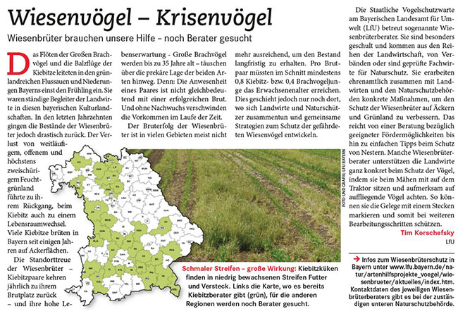 Zeitungsausschnitt