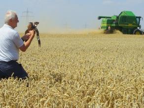 Mann bringt Jungvogel aus dem Erntebereich