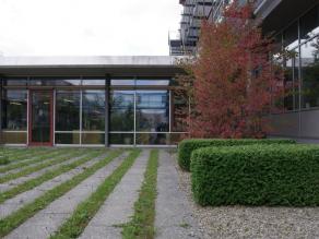 Rasenfugen zwischen Betonplattenbändern im Innenhof vor der Bibliothek