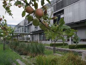 Reichtragende Apfelbäume und Wasserbecken im mittleren Innenhof