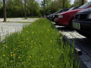 Rasenpflaster und Muldenversickerung am Parkplatz