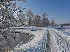 Ein verschneiter Weg mit einem benachbarten Teich und Übergang in Auwald.
