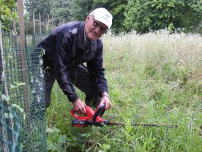 Ein Mann steht neben Pflanzen, die vor Verbiss geschützt werden durch eine Hülle und mäht den Aufwuchs von Gras und Kräutern. Ein Mann steht neben Pflanzen, die vor Verbiss geschützt werden durch eine Hülle und mäht den Aufwuchs von Gras und Kräutern.
