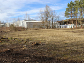 Eine noch winterliche Fläche mit im Hintergrund Industriegebäuden, unbelaubten Bäumen und einigen Kiefern zeigt im Vordergrund ein paar dünne Baumstümpfe auf und verweist darauf, dass hier vor Kurzem Gehölz geschnitten wurde.