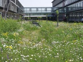 Außenanlage des Bayerischen Landesamtes für Umwelt in Augsburg. Dargestellt sind Teile des Gebäudes und der Grünanlage.