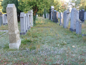 Alter Friedhof, auf dessen Grünflächen sich von alleine ein artenreicher Sandmagerrasen entwickelt hat.
