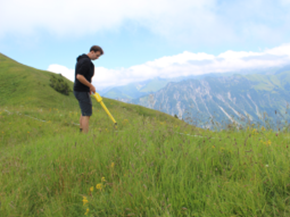 Ein Mann durchsucht eine Bergwiese mit einem Metalldetektor vor dem Hintergrund des Alpenpanoramas.