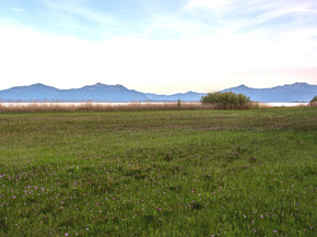 Grüne Wiese, im Hintergrund ein Gebirge