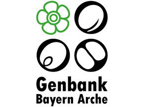 Grafische Darstellung von vier Symbolen in zwei Zeilen, wobei jeweils zwei Symbole in einer Zeile angeordnet sind. Darunter der Schriftzug Genbank Bayern Arche