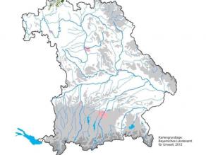 Bayernkarte mit den Fundorten der Geburtshelferkröte. Diese befinden sich alle im Bereich der Rhön. Deutlich erkennbar ist ein starker Rückgang gegenüber den Funden vor 2005