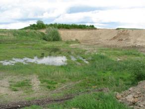 Rohstoff-Abbaustelle mit offenen Bereichen und Flachwasserzonen