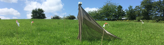 Eine zeltförmige Falle mit flüssigkeitsgefülltem Fangbehälter an der höchsten Spitze des Zelts steht auf einer Wiese.