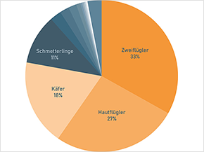 Zweiflügler (33%), Hautflügler (27%), Käfer (18%) und Schmetterlinge (11%) machen den Großteil der 30.000 Insektenarten Bayerns aus.