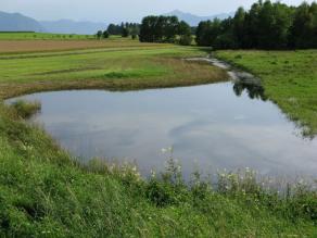 Große wassergefüllte Wiesensenke in Voralpenlandschaft