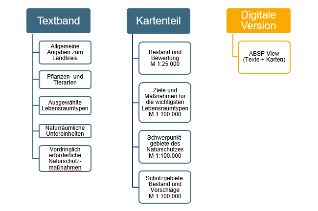 In den Textbänden des ABSP sind neben allgemeinen Angaben zum Landkreis die Handlungsschwerpunkte des Naturschutzes mit drei Zielrichtungen dargestellt: für Tier- und Pflanzenarten, für die wesentlichen Lebensraumtypen und für die naturräumlichen Einheiten. Die wichtigsten Maßnahmen sind als Handlungsprogramm für den jeweiligen Landkreis zusammengefasst. Im Kartenteil finden sich Karten zu Bestand und Bewertung, Ziele und Maßnahmen für die wichtigsten Lebensraumtypen, Schwerpunktgebiete des Naturschutzes sowie zu Schutzgebiete: Bestand und Vorschläge. Für 2/3 der ABSP-Bände ist die Anzeige in einer digitalen Version im Betrachtungsprogramm ABSP-View möglich.