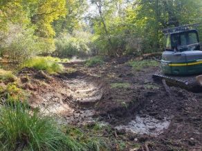 Ein schwarz-gelber Bagger steht in einem hellen Laubwald neben einer mehrere Meter langen und breiten ausgebaggerten Senke im Boden, auf die sanftes Sonnenlicht durch das Blätterdach fällt.