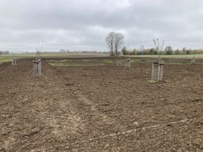 Frisch angelegte Streuobstwiese mit offenem braunen Boden, einzelnen jungen Obstbäume mit eingezäunten Stämmen, im Hintergrund ist ein schmaler Streifen Gehölze am Horizont, einzelne Wiesenflächen und grau-bewülkter Himmel zu sehen.