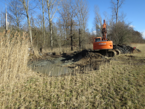 Ein Bagger hebt auf einer bräunlichen Wiese mit beigen Schilf am linken Rand einen Tümpel aus. Im Hintergrund ist ein kahler Waldrand und blauer Himmel zu sehen.