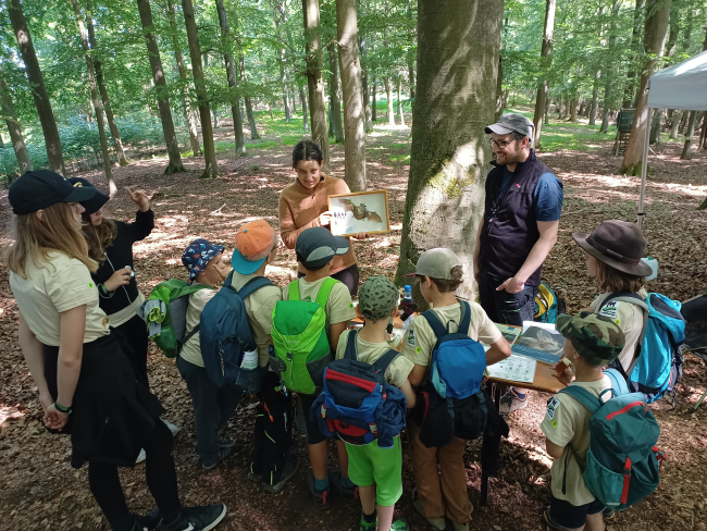 Kinder stehen im Wald um einen Tisch mit Infomaterial zu Fledermäusen, dahinter steht eine Frau mit einer ausgestopften Fledermaus und ein Betreuer. Kinder stehen im Wald um einen Tisch mit Infomaterial zu Fledermäusen, dahinter steht eine Frau mit einer ausgestopften Fledermaus und ein Betreuer.