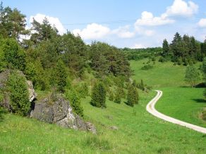 Blick in ein Tälchen mit weitläufige grünen Magerrasen zu beiden Seiten eines hell geschotterten Feldwegs, mit markanten grauen Felsen am linken Rand, Wacholderbüschen an den Hängen und Bäumen auf den Hangrücken. 