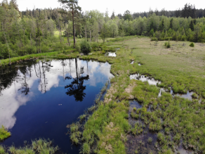 Drohnenaufnahme von schräg oben, im Vordergrund eine überschwemmte Wiese, der Himmel spiegelt sich in einer größeren Wasserfläche. Die Wiese geht nach hinten in einen offenen Waldsaum und anschließend dichteren Wald über.