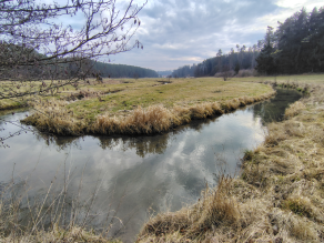 Ein Bach schlängelt sich vom Betrachter weg durch eine grünlich-bräunliche und kurz gemähte Wiesenlandschaft. Am linken Rand ragen Äste eines Baumes ins Bild, im Hintergrund sind rechts und links Waldränder unter grau-bewölktem Himmel. Ein Bach schlängelt sich vom Betrachter weg durch eine grünlich-bräunliche und kurz gemähte Wiesenlandschaft. Am linken Rand ragen Äste eines Baumes ins Bild, im Hintergrund sind rechts und links Waldränder unter grau-bewölktem Himmel.
