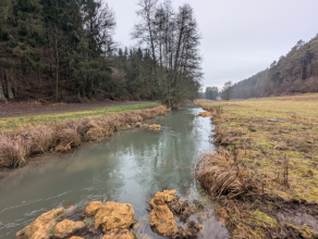 Ein Bach strömt vom betrachter Weg entlang eines Waldrands auf der linken Seite des Bilds. Im Vordergrund und im hinteren Bereich des Bachs sind beige-braune Steine im Bachbett zu sehen, rechts schließt eine grünlich-gelbe Wiese und Waldrand an. Ein Bach strömt vom betrachter Weg entlang eines Waldrands auf der linken Seite des Bilds. Im Vordergrund und im hinteren Bereich des Bachs sind beige-braune Steine im Bachbett zu sehen, rechts schließt eine grünlich-gelbe Wiese und Waldrand an.