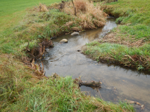 Ein sich noch naturnah durch eine Wiese schlängelnder Bachabschnitt mit strukturgebenden Elementen. Im hinteren Bereich sind aus dem Wasser ragenden Störsteine und ein Wurzelstock zu sehen. Der Gleithang wurde abgeflacht. Ein sich noch naturnah durch eine Wiese schlängelnder Bachabschnitt mit strukturgebenden Elementen. Im hinteren Bereich sind aus dem Wasser ragenden Störsteine und ein Wurzelstock zu sehen. Der Gleithang wurde abgeflacht.