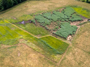 Drohnenaufnahme einer Wiesenfläche mit unterschiedlichen Grüntönen und Bäume am linken oberen Rand, durch die Wiesenabschnitte ziehen sich bräunliche Linien und Flecken.