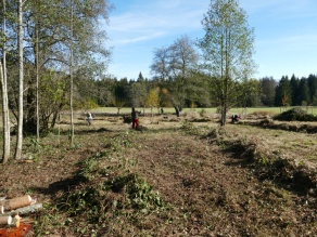 Vier Personen in Arbeitskleidung rechen gemähtes Gras und Brombeerpflanzen in Reihen. Landschaftsbild mit Wiese, einzelnen Bäumen, im Hintergrund Wald. Links unten ragen abgesägte Baumstämme ins Bild.