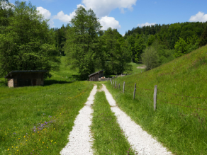 Unbefestigter Feldweg mit Mittelstreifen, die Wegränder sind mit blühenden Magerwiesen gesäumt, im Hintergrgund sind Unterstände und Waldrand zu sehen.
