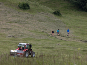 Auf einer buckeligen grünen Wiese steht ein roter Traktor mit Mähwerk. Ein Stück im Hintergrund rechen drei Personen in kurzer Kleidung das gemähte Heu mit Handrechen in Schwade zusammen. Im Vordergrund sind verschwommen Gräser zu erkennen.