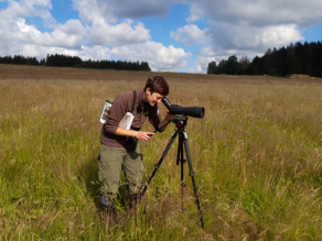 Eine Naturpark-Rangerin in brauner Arbeitskleidung steht im hohen Gras der braun-grünen Wiese und beugt sich über ein Stativ, um Braunkehlchen zu beobachten. Im Hintergrund ist unter dem blauen Himmel, der von weißen Wolken durchzogen wird, dunkelgrüner Wald zu sehen.