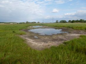 grüne Wiesenlandschaft mit einer neu angelegten wasserführenden Seige und vegetationslosen flachen Ufern in der Mitte des Bilds, im Hintergrund weit entfernt sind Gehölze erkennbar.