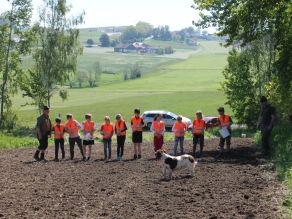 Kindergruppe mit Warnwesten an sonnigem Tag auf frisch gefräster Fläche beim Anlegen einer Blühfläche. Sie säen Samen auf den frisch bearbeiteten Boden. Im Vordergrund ein braun-weißer Hund, im Hintergrund grüne Wiesen