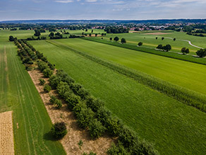 Luftbildaufnahme einer Streuobstwiese inmitten von Äckern. Im Hintergrund ist ein Dorf zu erkennen. 