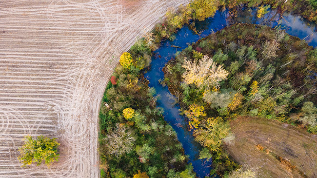 Luftbildaufnahme; inmitten von Feldern und Äckern liegt ein Biotop mit einem Bachlauf und Bäumen.