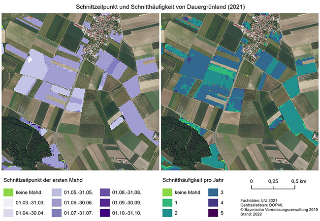 Zwei Karten mit farblich unterschiedlich eingefärbten Bereichen eines Rasterdatensatzes. Sie geben Auskunft über den Schnittzeitpunkt der ersten Mahd und die Schnitthäufigkeit im Jahr 2021 im Dauergrünland. Das Datum des ersten Schnittzeitpunktes ist farblich in die Monate März, April, Mai, Juni, Juli, August, September und Oktober eingeteilt. Die Schnitthäufigkeit ist farblich in die Kategorien keine Mahd, einmal, zweimal, dreimal, viermal und fünfmal gemäht, eingeteilt.