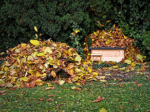 Ein Laubhaufen und ein Holzkasten mit angehäuftem Laub darauf stehen vor einer Hecke.