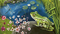 Illustration eines Frosches, der vor einem Teich auf einem Stein sitzt