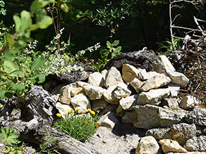 Steinhaufen mit einer Sandfläche, umgeben von Totholz und Pflanzen. 