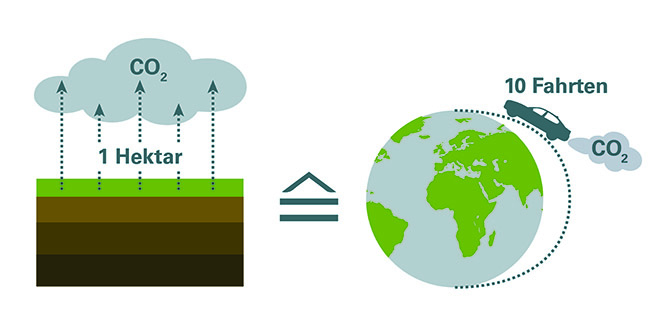 Links schematische Ansicht einer entwässerten Moorfläche im Querschnitt, darüber schweben Wolken mit der Aufschrift CO2, in der Mitte ein entspricht-Zeichen, rechts eine schematische Ansicht der Erde, an der ein Auto vom unteren Mittelpunkt zum oberen Mittelpunkt fährt und dabei eine Abgaswolke mit der Aufschrift CO2 ausstößt.