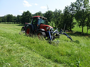 ein Traktor mäht eine Wiese, im Hintergrund eine Baumreihe