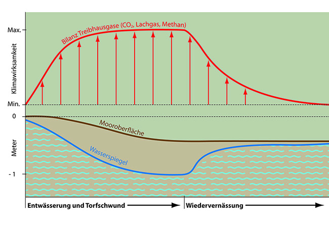 Die Grafik stellt die Bilanz der Treibhausgase (CO<sub>2</sub>, Lachgas und Methan) in Abhängigkeit des Wasserspiegels von der Mooroberfläche dar. Je höher der Wasserstand, desto geringer ist die Freisetzung von Treibhausgasen.