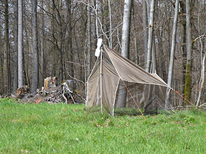 Ein zeltartiges Netz steht vor einem Waldrand auf einer Wiese, dahinter liegt ein Totholzhaufen.