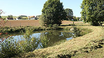 Links im Bild ein Teich, im Hintergrund Bäume und eine Siedlung mit Wohnhäusern