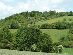 Kleinstrukturierte Landschaft mit vielen Hecken und Lesesteinriegeln