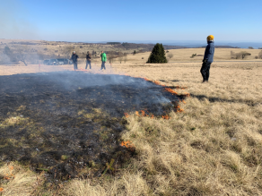 Oberflächlicher Brand auf Borstgrasrasen.