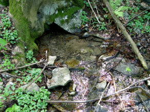 Eine Fließquelle tritt aus Felsgestein aus.